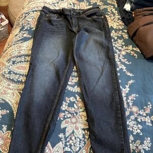 1822 Jean Style Adrianna Denim Size 10